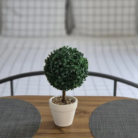 Studio Apartment S&N Dubrovnik Kültér fotó